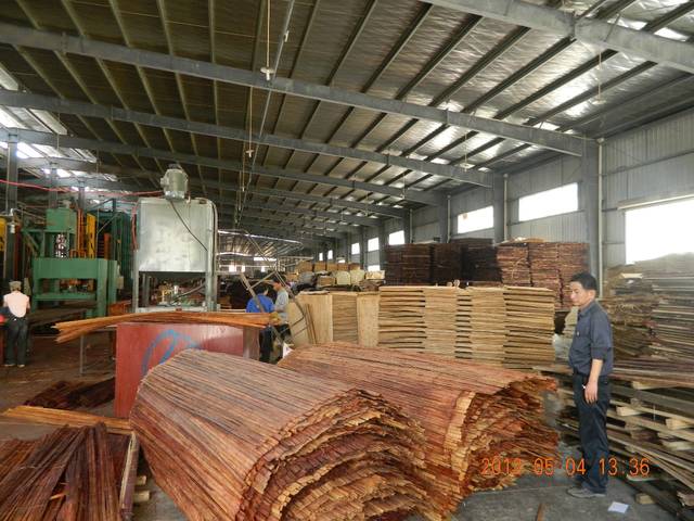 竹加工新篇章 绿色创新与可持续发展