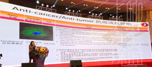 上卿臻盏创始人受邀参加国际燕窝认证研讨会，共襄全球燕窝文化学术交流盛举