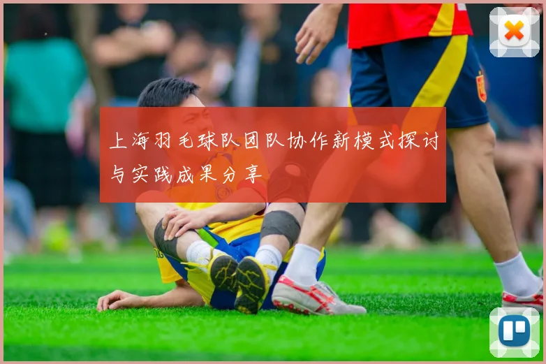 上海羽毛球队团队协作新模式探讨与实践成果分享