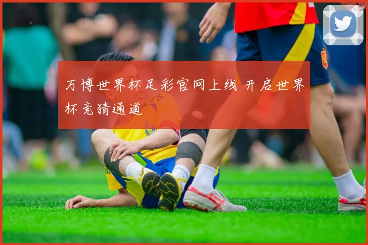 万博世界杯足彩官网上线 开启世界杯竞猜通道
