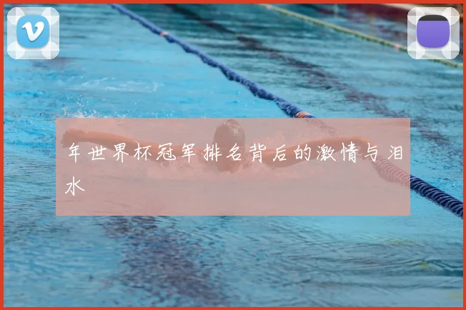 年世界杯冠军排名背后的激情与泪水