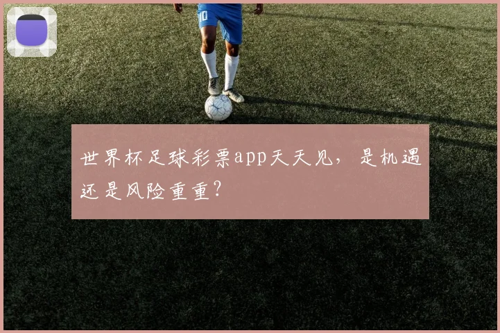 世界杯足球彩票app天天见,是机遇还是风险重重?