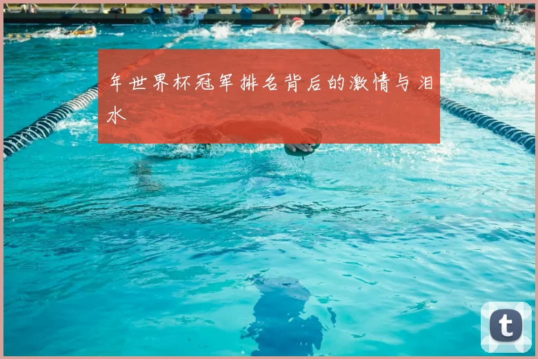 年世界杯冠军排名背后的激情与泪水