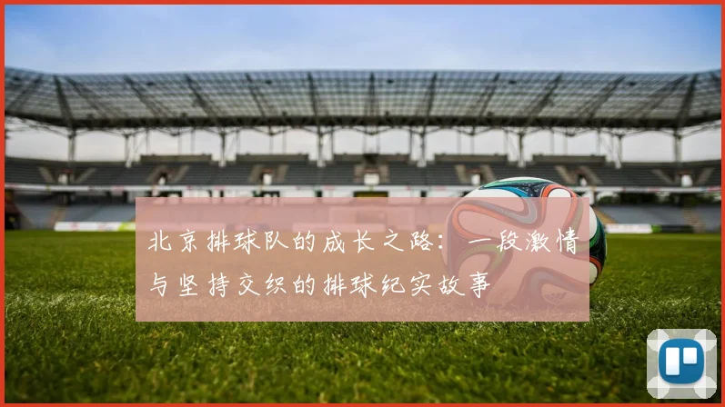 北京排球队的成长之路:一段激情与坚持交织的排球纪实故事