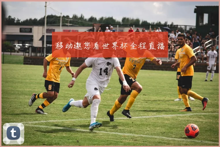 移动邀您看世界杯全程直播