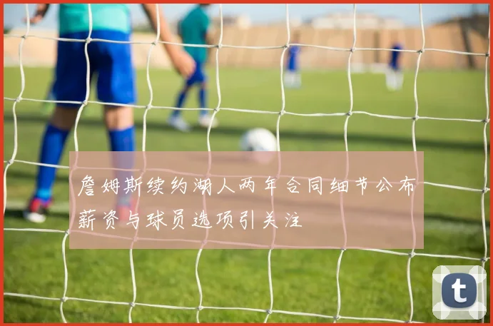 詹姆斯续约湖人两年合同细节公布薪资与球员选项引关注