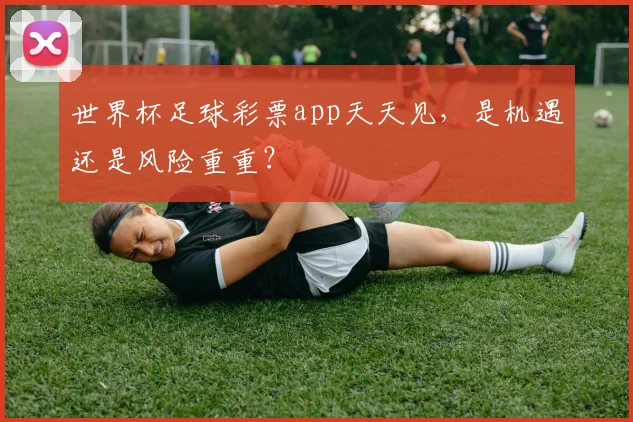 世界杯足球彩票app天天见，是机遇还是风险重重？
