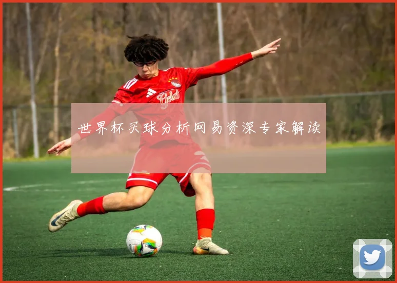 世界杯买球分析网易资深专家解读